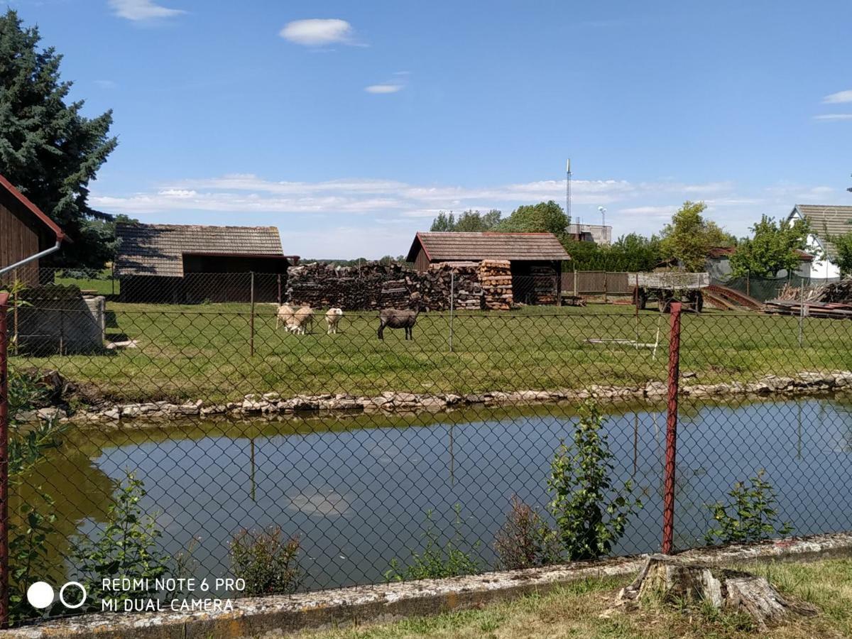Ubytovani Ve Stodole Straz nad Nezarkou Екстер'єр фото